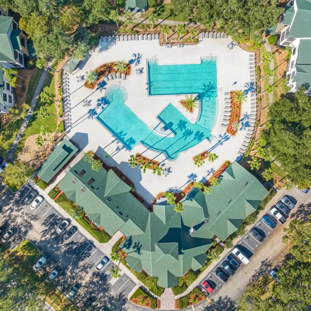 タンパ 4Bd 2 Mi To Usf Free Pool + 24 Hour Gymヴィラ エクステリア 写真