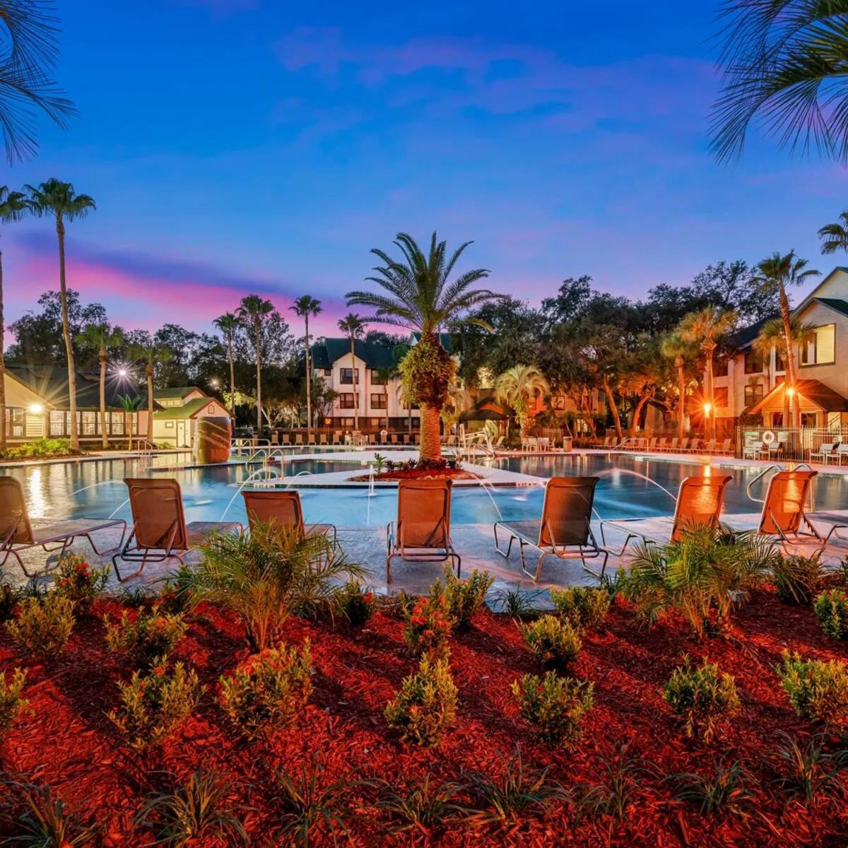 タンパ 4Bd 2 Mi To Usf Free Pool + 24 Hour Gymヴィラ エクステリア 写真