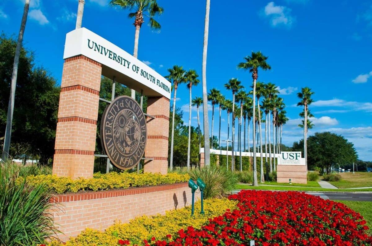 タンパ 4Bd 2 Mi To Usf Free Pool + 24 Hour Gymヴィラ エクステリア 写真