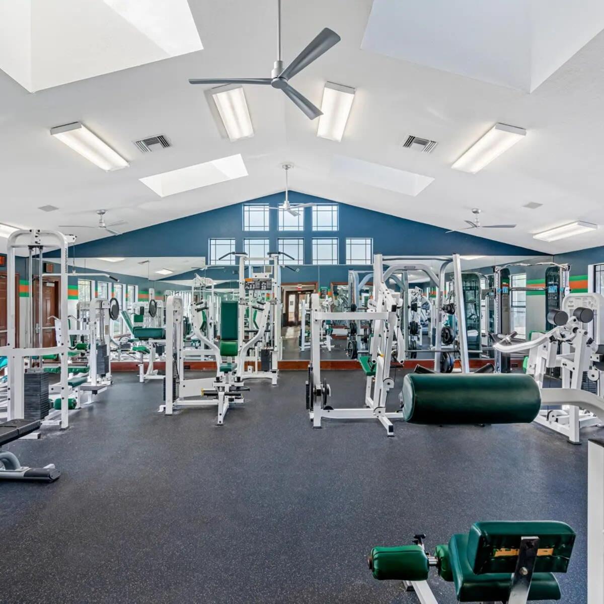 タンパ 4Bd 2 Mi To Usf Free Pool + 24 Hour Gymヴィラ エクステリア 写真
