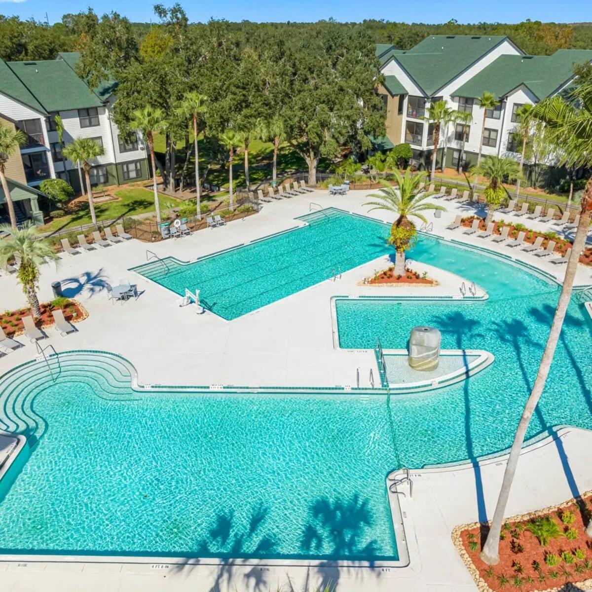 タンパ 4Bd 2 Mi To Usf Free Pool + 24 Hour Gymヴィラ エクステリア 写真